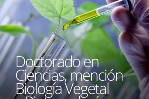 Doctorado en Ciencias, mención Biología Vegetal y Biotecnología
