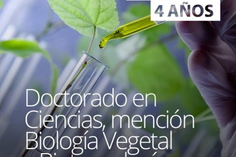 Doctorado en Ciencias, mención Biología Vegetal y Biotecnología